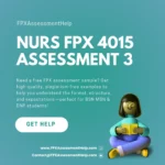 NURS FPX 4015 Assessment 3 Concept Map: The 3Ps and Mental Health Care